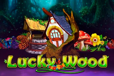 Lucky Wood Кафе Казино слот